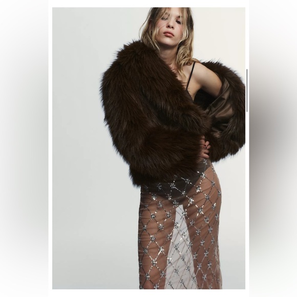 Zara embroidered beaded midi skirt - Picture 3 of 6